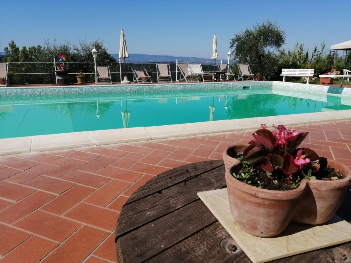 Agriturismo Montemari Villa Palaia Ngoại thất bức ảnh