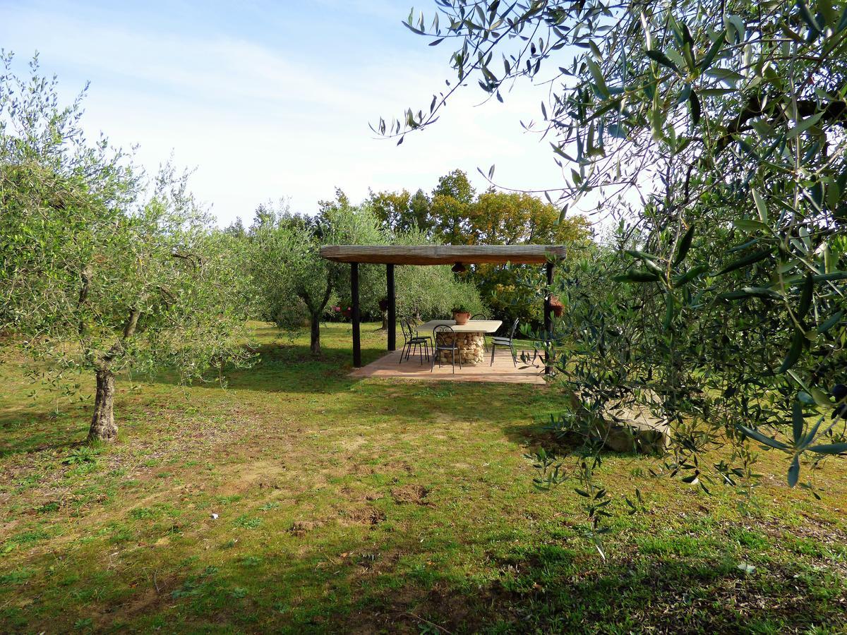 Agriturismo Montemari Villa Palaia Ngoại thất bức ảnh